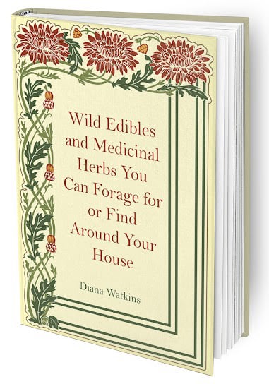 Home Doctor bonus-1